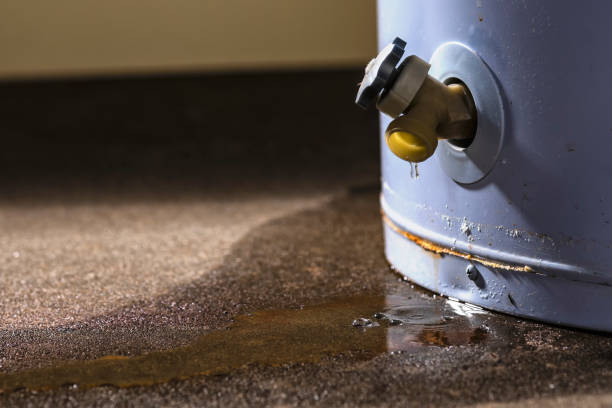 Best Carpet water damage restoration  in Pocasset, MA