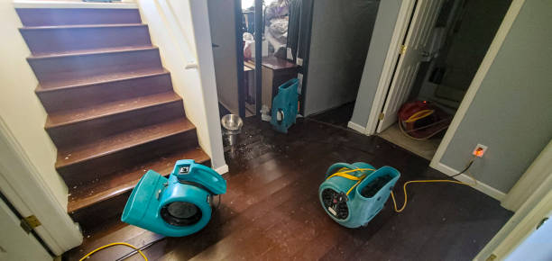 Best Basement water damage restoration  in Pocasset, MA