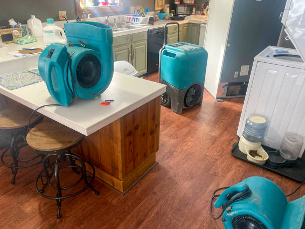 Best 24/7 water damage repair  in Pocasset, MA