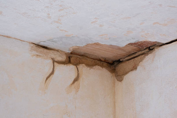 Best 24-hour water damage restoration  in Pocasset, MA