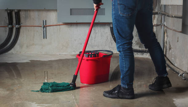 Best Flood restoration services  in Pocasset, MA