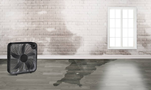 Best Commercial water damage restoration  in Pocasset, MA