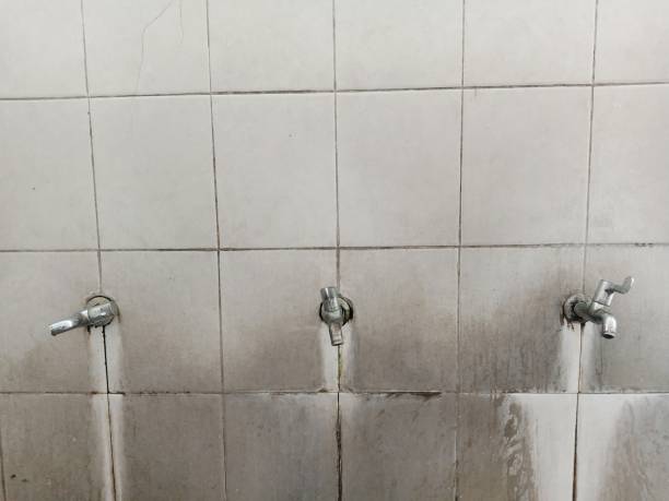 Best Mold removal after water damage  in Pocasset, MA