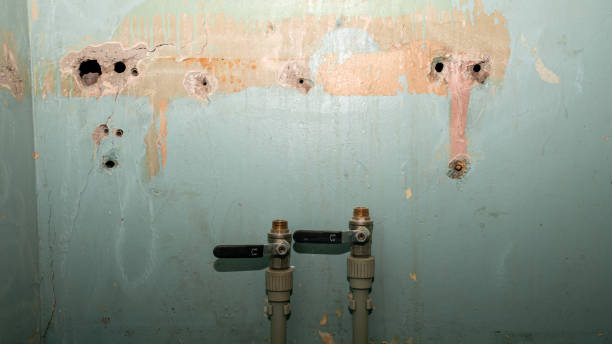 Best Ceiling water damage repair  in Pocasset, MA