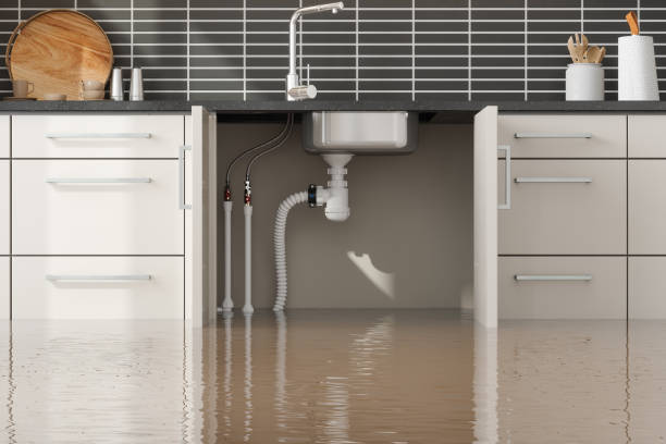 Best Water damage contractors near me  in Pocasset, MA