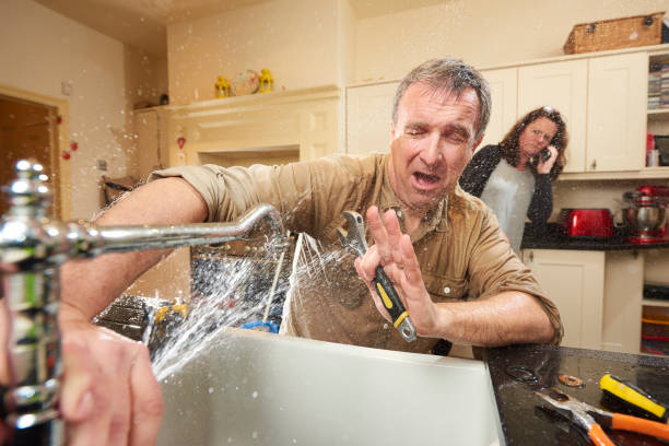 Best Professional water damage repair  in Pocasset, MA